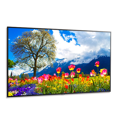 NEC M981 98" Ultra High Definition Professional Display