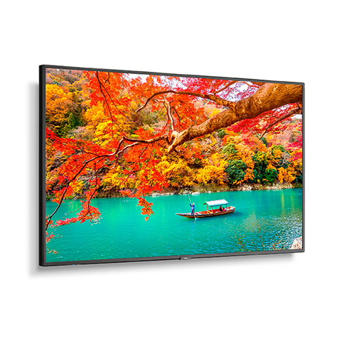 NEC MultiSync MA431 MA Series - 43" LED-backlit LCD display - 4K - for digital signage