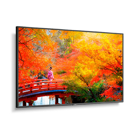 NEC MultiSync MA491 MA Series - 49" LED-backlit LCD display - 4K - for digital signage